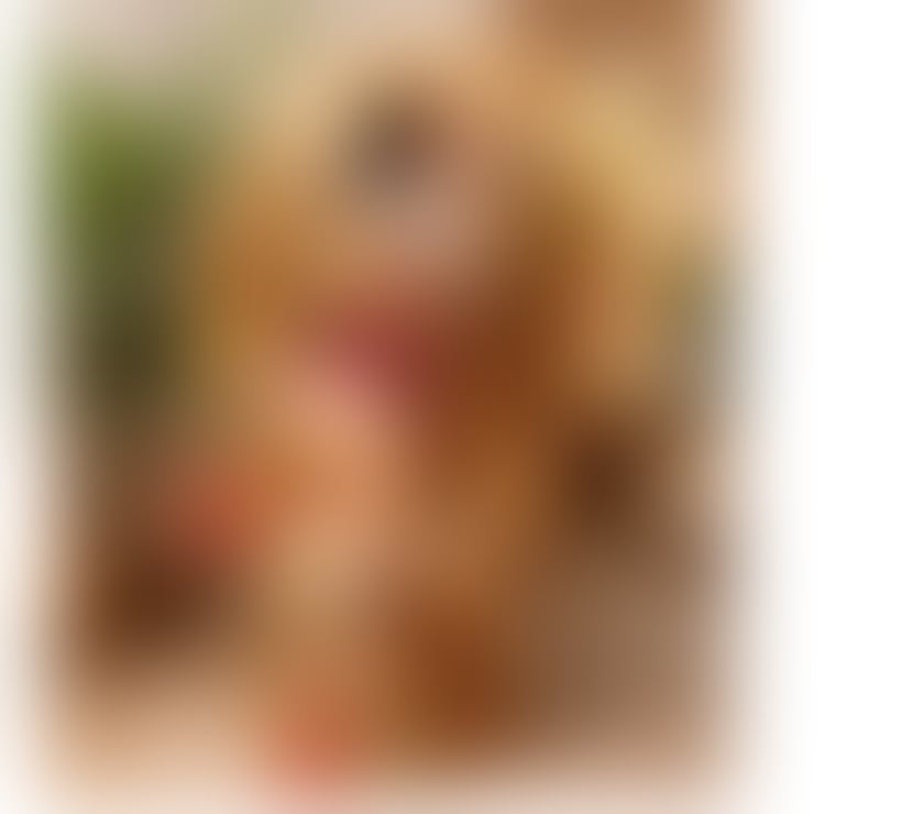 Escorts Bedfordshire Central Bedfordshire - Photos for 🔞Best experience🫦, new genuine Vanessa ,🔞