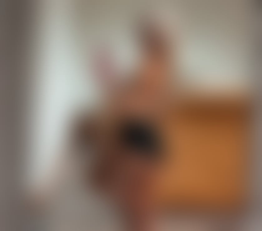 100% REAL PICTURES💯GENUINE👿🇧🇷The best service