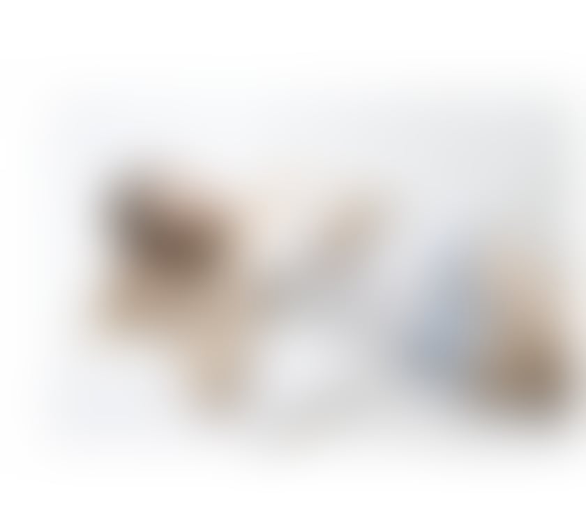 Escorts Glasgow Cowcaddens - Glasgow - Photos for Exclusive Asian Companion |Elegant, Discreet & Unforgetable