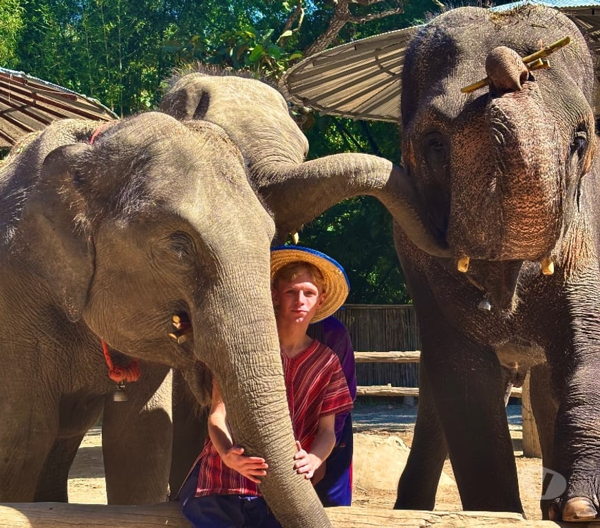  Gay massage York York - York - Photos for Fun, Flirty & Full of Good Vibes