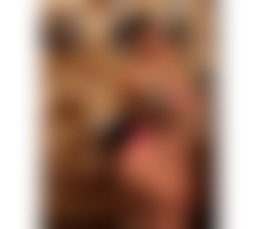 Escort Stockport Town Centre Stockport - Photos for ❤️FOXIE🔥🔝REAL PICS💥GENUINE,SWEET PARTY 🥳