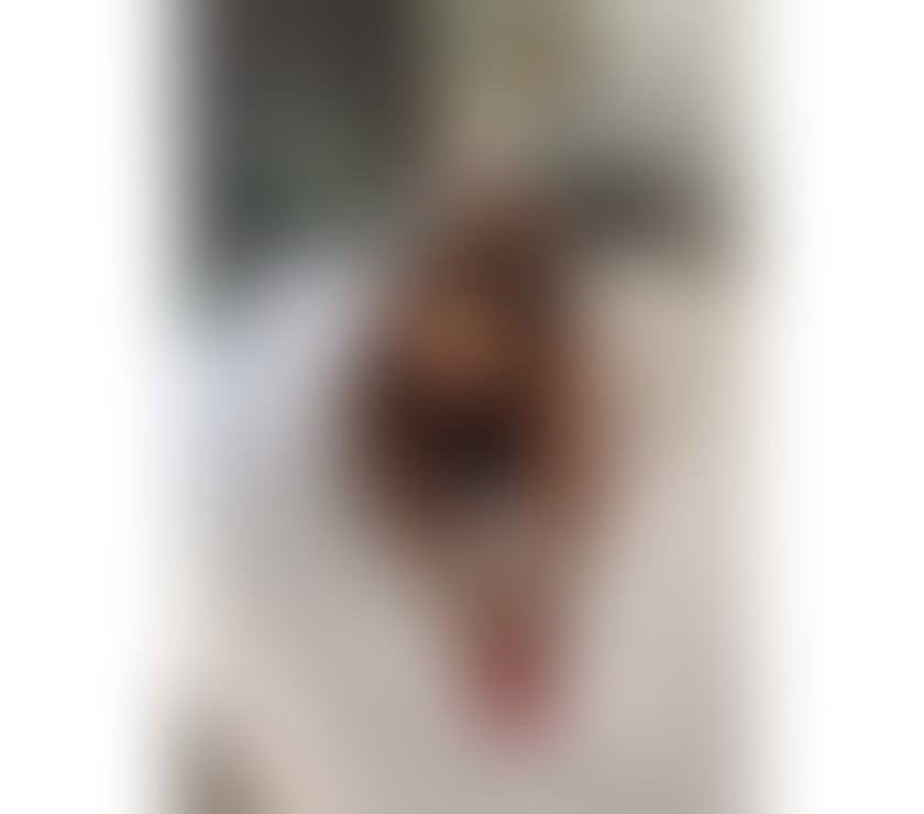 Trans Escorts Hull City Centre Hull - Photos for NATASHA IN TOWN NO RUSH TS GIRL GENUINE