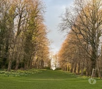 Hey im 25 years old massage boy im provide gd services