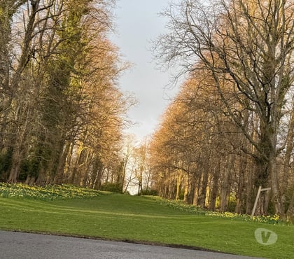 Full body massage Gorgie Edinburgh - Photos for Hey im 25 years old massage boy im provide gd services