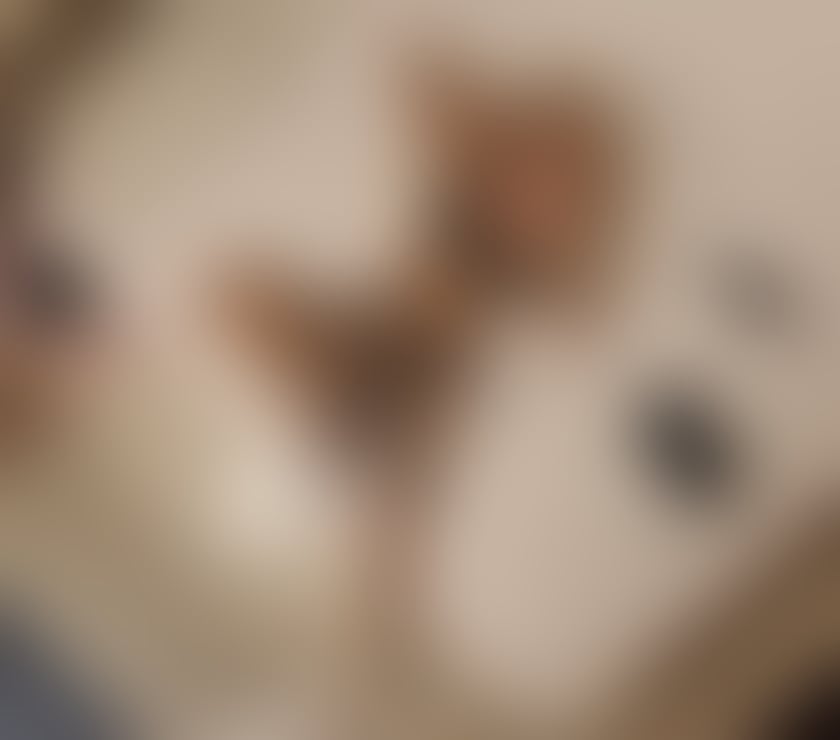 Trans Escorts North West London Wembley Park - North West London - Photos for 🍒VENUZ TS YOUR EXCITING GIRLFRIEND TS 🍒