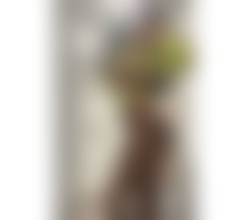 Escorts Greater Manchester Stockport - Photos for MIX RACE CARAMEL 📞07516 050578 🤎🇧🇷💋