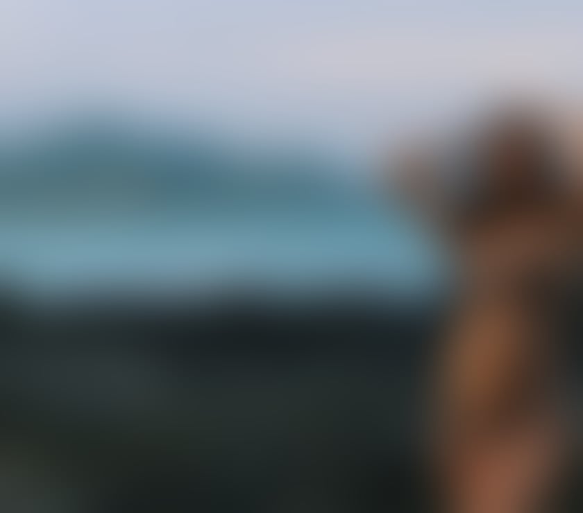 Escort curvy Girl 🥰 Gorgeous Girl