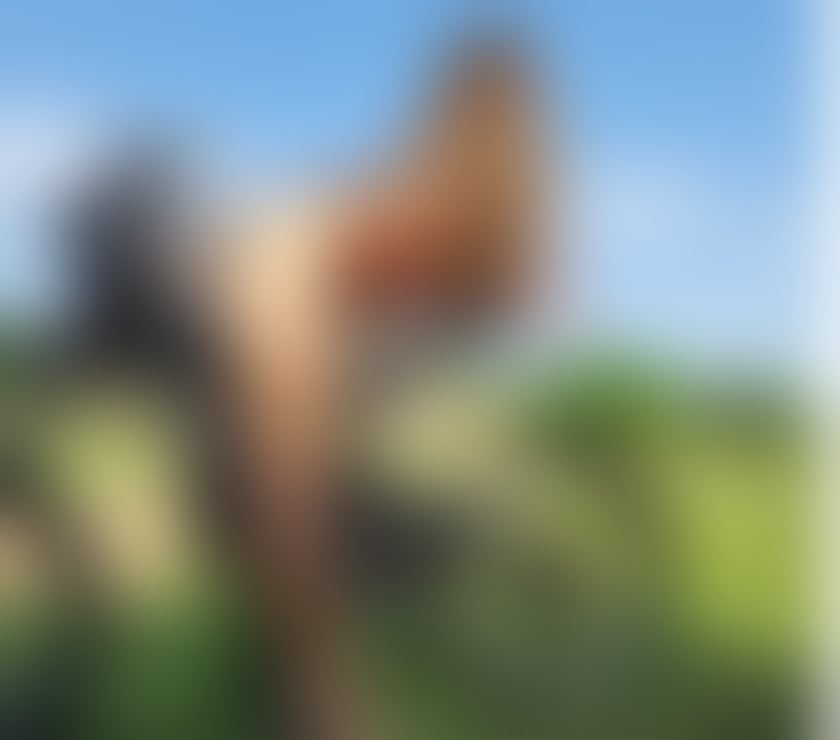 Escort Woodston Peterborough - Photos for Hello boys x party girl 🔞 incall&outcall🫶real photos