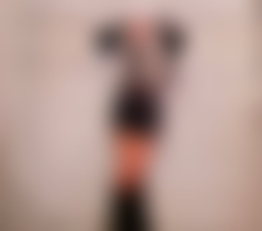 Escorts North London Enfield - Photos for Nonbinary Baddie 🍪🌸🦋 WHATSAPP ME 😋