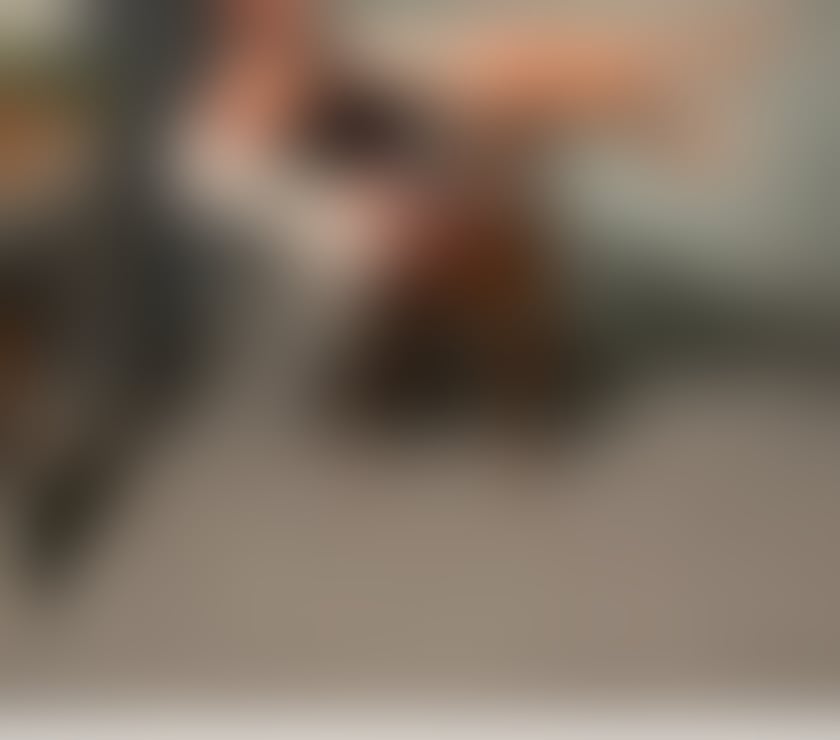 Escorts South Lanarkshire Hamilton - South Lanarkshire - Photos for EMILY❤️PARTY GIRL💋NEW IN TOWN🔥🔥🔥