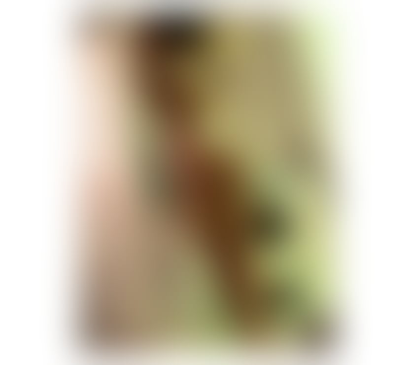 Escorts Campbell Park Newcastle Upon Milton Keynes - Photos for ★🎉New!New!New!★100% Lara REAL AND INDEPENDENT.💋!