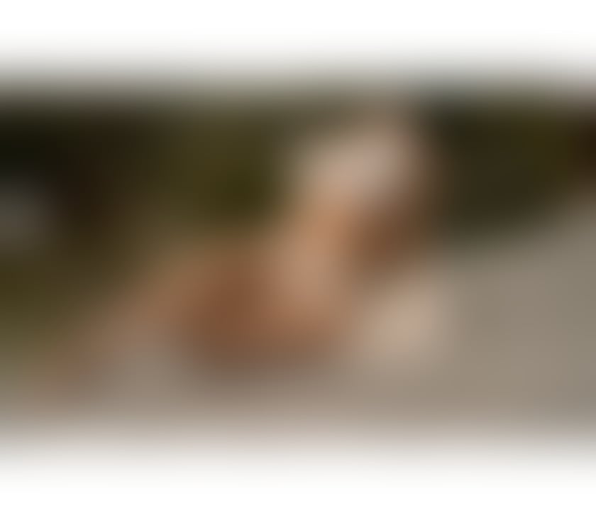 Escorts West Yorkshire Leeds - Photos for SEXY ENGLISH BEAUTY IN LEEDS - Call to book