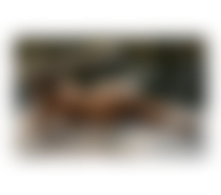 Escorts West Yorkshire Leeds - Photos for SEXY ENGLISH BEAUTY IN LEEDS - Call to book