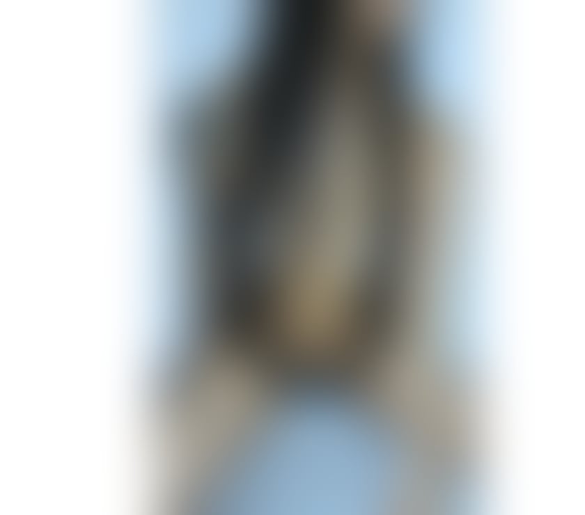 Escorts Brent North Wembley Station - Brent - Photos for NEW CAROL VERY NAUGHTY 🍾🥂Party Girl