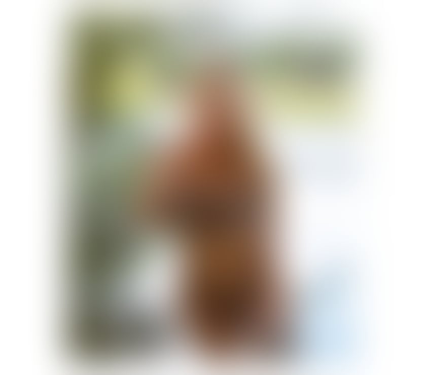 Escorts Greater Manchester Manchester - Photos for Blonde girl Massage