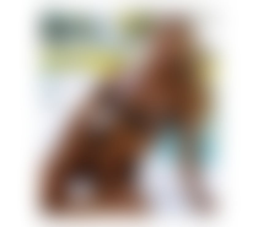 Escorts Greater Manchester Manchester - Photos for Blonde girl Massage