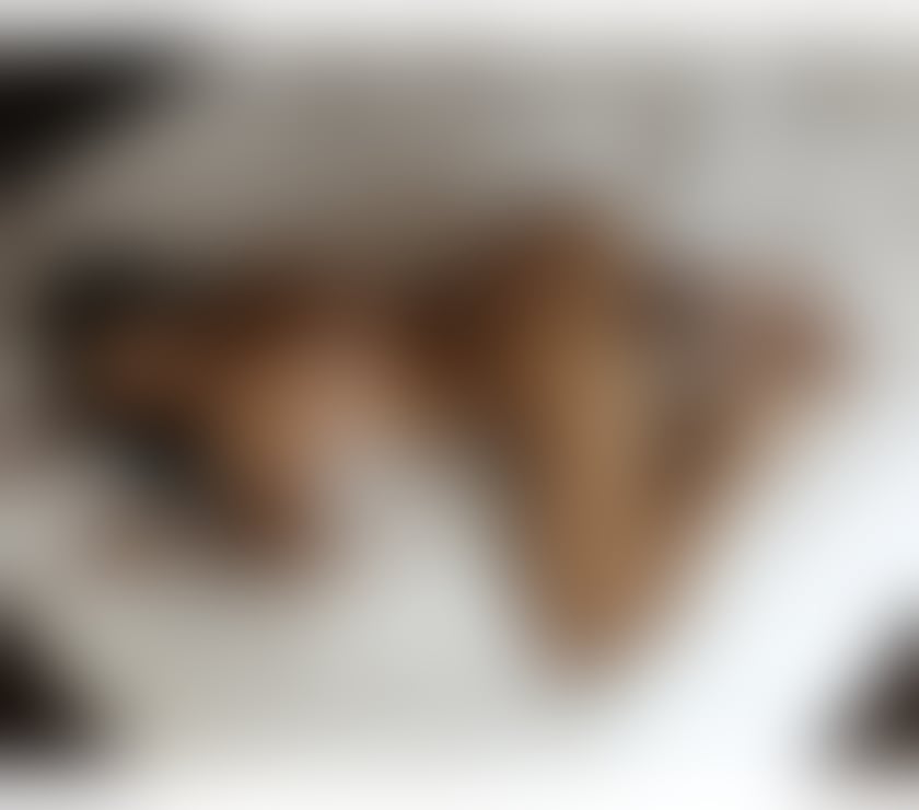 Escorts West Midlands Wolverhampton - Photos for Thai girl best choice best service no rush 👌