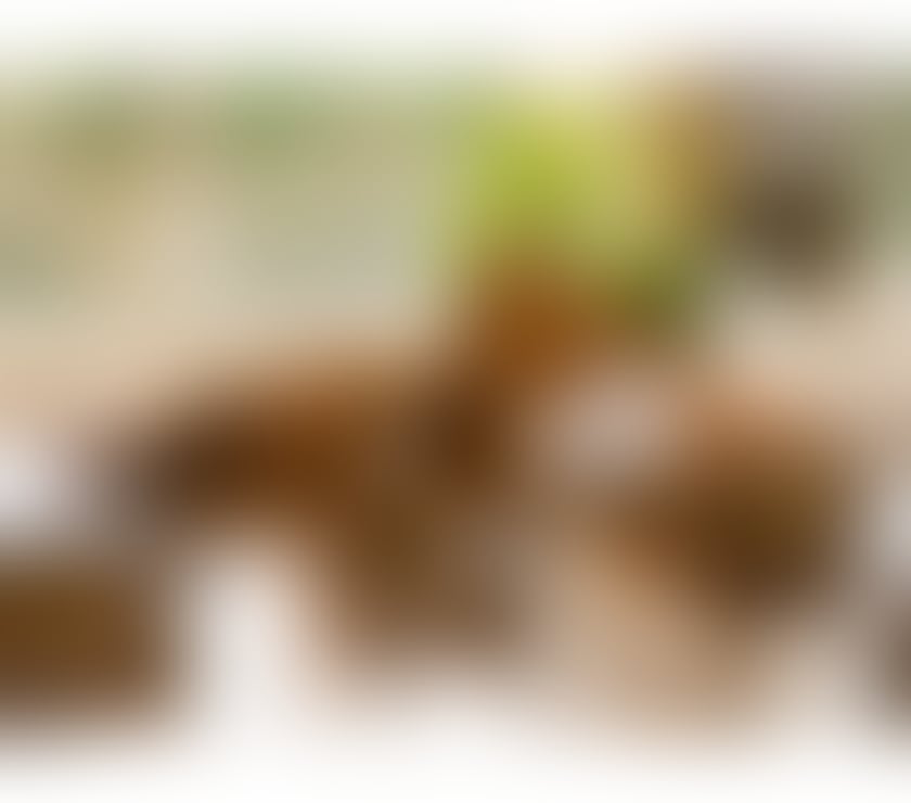 Escorts Cambridgeshire Cambridge - Photos for Eliza delicious Brunette 🧡💛