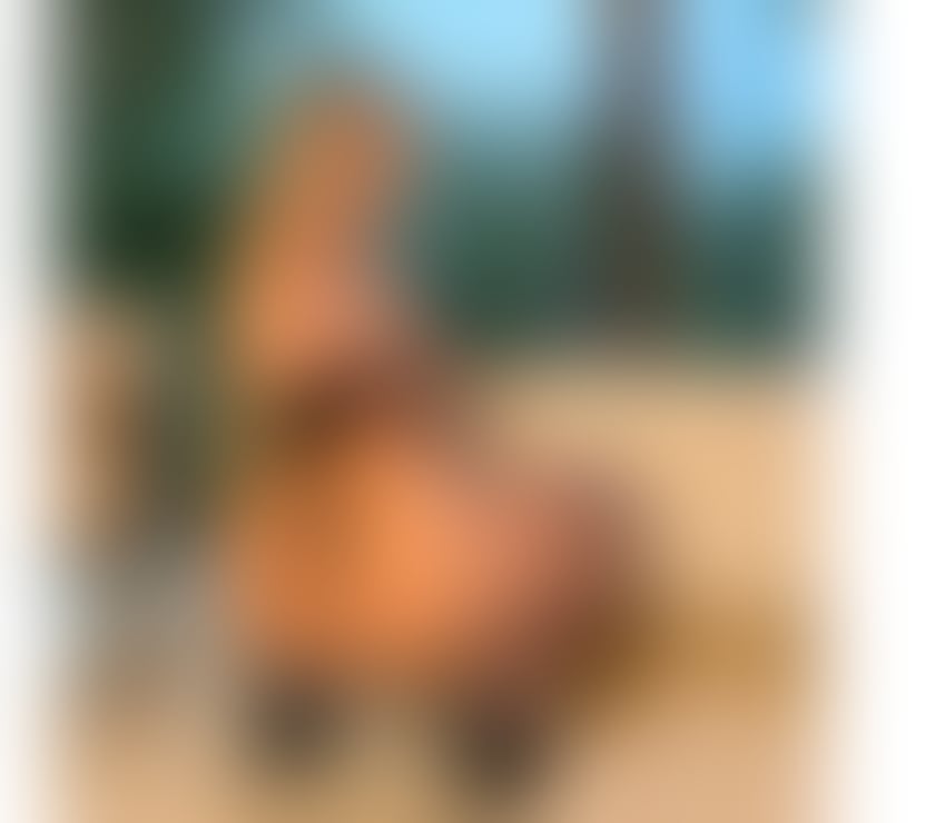 Photos for Best OWO, Jasmine Is Here! Best In Town!