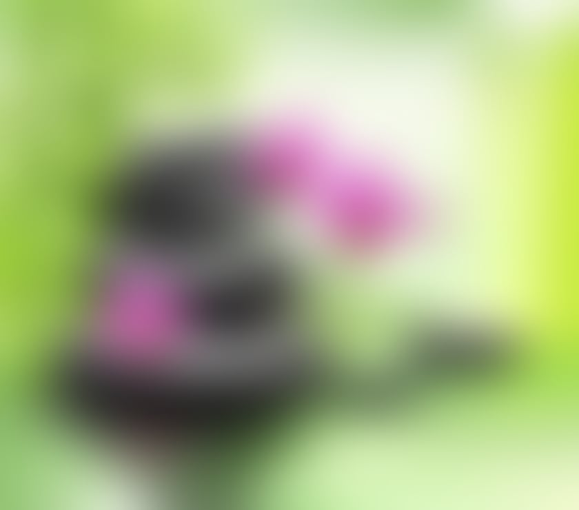 Escorts Fallowfield Manchester - Photos for 👗Chinese relax massage spa 🔥special offer🔥