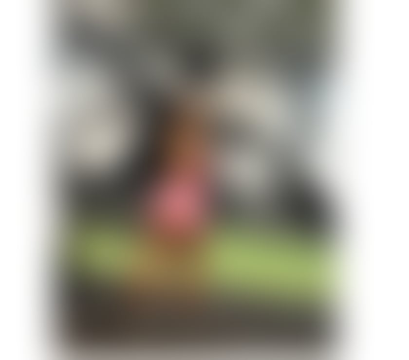 Escorts Essex Colchester - Photos for ✨ New Brazilian Beauty in Colchester | 100% Real ✨