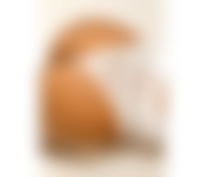 Trans Escorts Essex Harlow - Photos for Perola Brazilian Hot Party