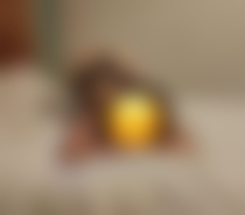 Escorts Cardiff Cardiff City Centre - Cardiff - Photos for BESTIAL 🆕 🔞DREAM GIRL 🔞 OUTCAL INCALL PARTY 😈