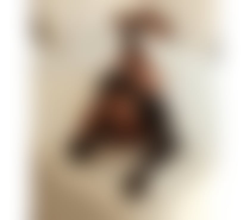 Escorts Greater Manchester Manchester - Photos for 🇧🇷MAYA💋FITNESS MUSE✨🍾🥂PARTY GIRL DREAM🍸