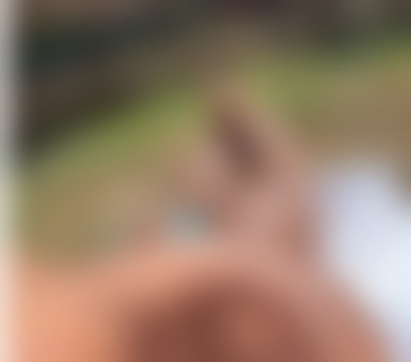 Trans Escorts Staffordshire Stoke-on-Trent - Photos for IZZA BRAZILIAN TS