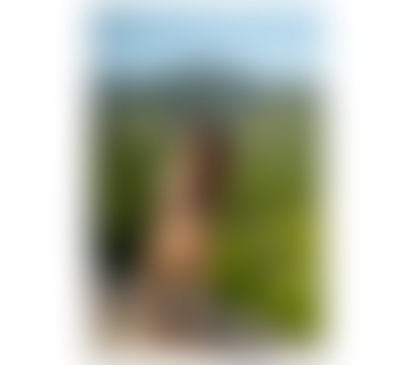 Escort Stockwell South West London - Photos for SEXY AMAZONIAN GIRL 🔥 STUNNING VICKY ☎️