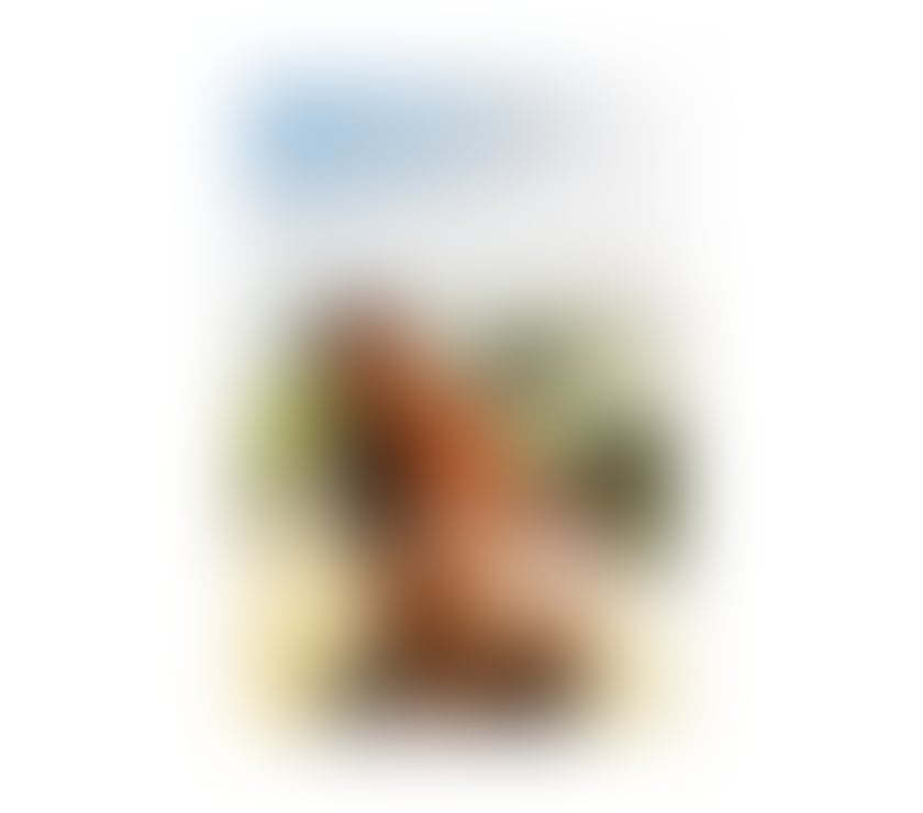 Escorts Sheffield City Centre Sheffield - Photos for 💋🔥Girlfriend Jasmyn🔥🩷😋