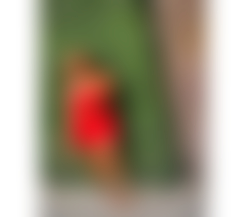 Escorts West Midlands Birmingham - Photos for SILVER D DIVA❣️💋