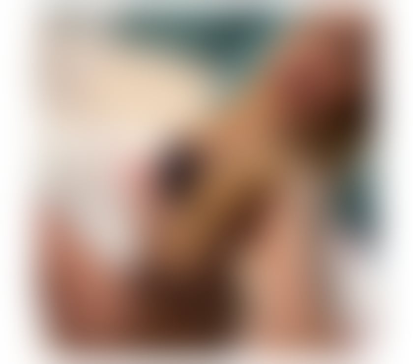 Escorts West Yorkshire Leeds - Photos for 🇧🇷 JADE HOT BRAZILIAN ✨