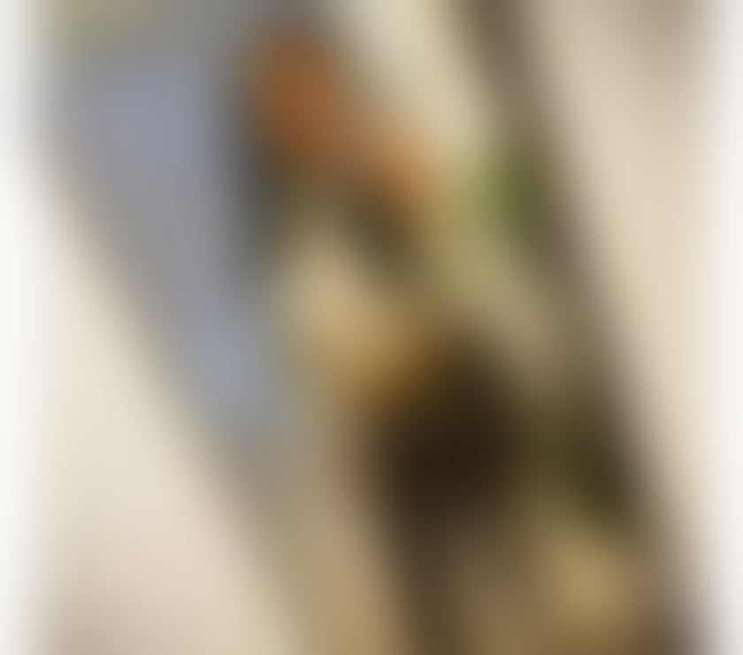 Escort Northampton West Northamptonshire - Photos for Hey , I'm cristina new