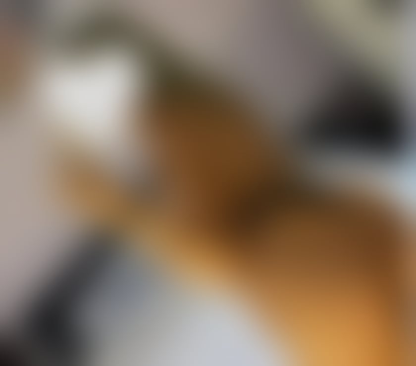 Escorts Tyne and Wear Newcastle upon Tyne - Photos for Hot new blonde Carolina💯