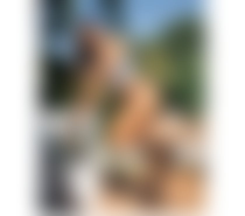 Escorts Leicestershire Charnwood - Photos for 🍆💦LAURA LATINA PARTY🌟NO RUSH GFE🔥✨