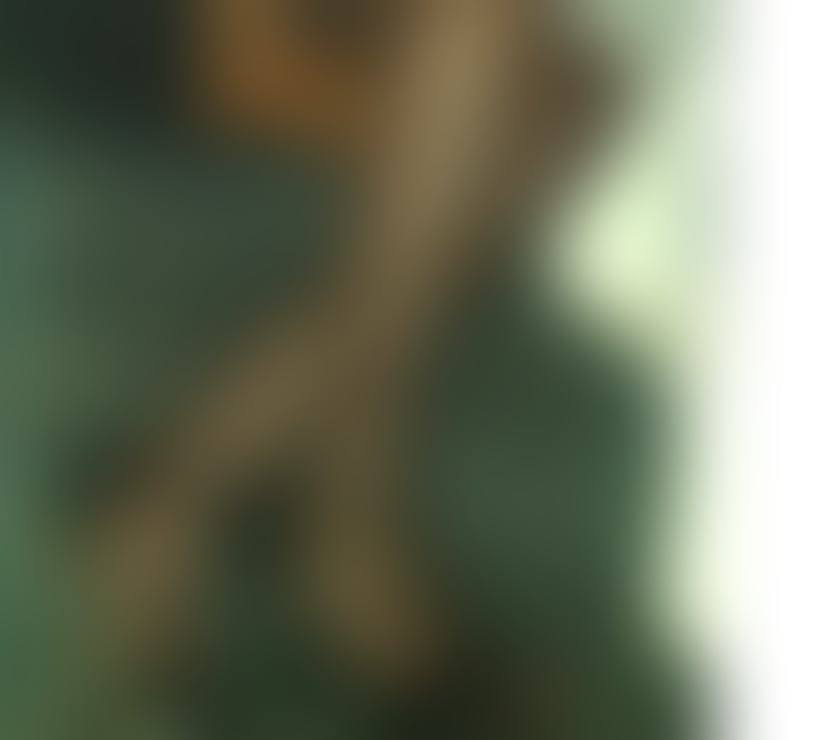 Escorts Westmorland and Furness Barrow-in-Furness - Westmorland and Furness - Photos for Allure K Busty Elegant Sexy Mature