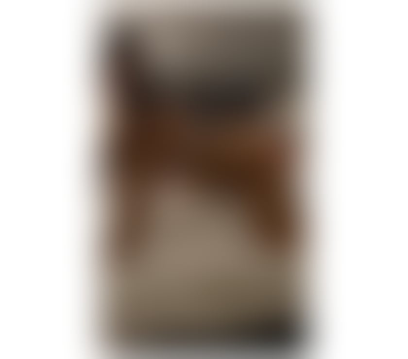 Escort Forest Gate East London - Photos for KIMBERLY DIANA ✨ BIGBUM 🍑💋