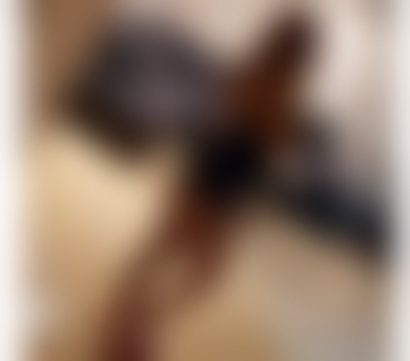 Escorts Bristol Easton - Bristol - Photos for SERVICE💎NO RUSH🔥BESTBJ 🍭100%REAl💃LATINA🔥HOT