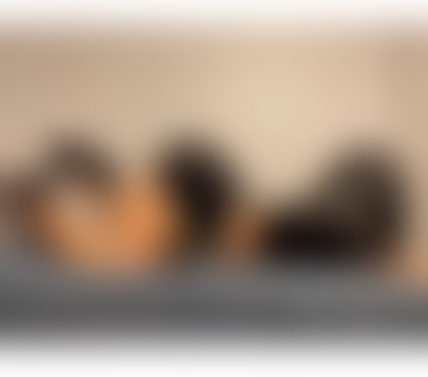 💞 BEST SERVICE IN SEVEN KINGS 💞