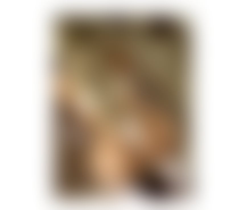 Escorts Staffordshire Cannock Chase - Photos for Attractive and Sweet Woman ❤️‍🔥💗