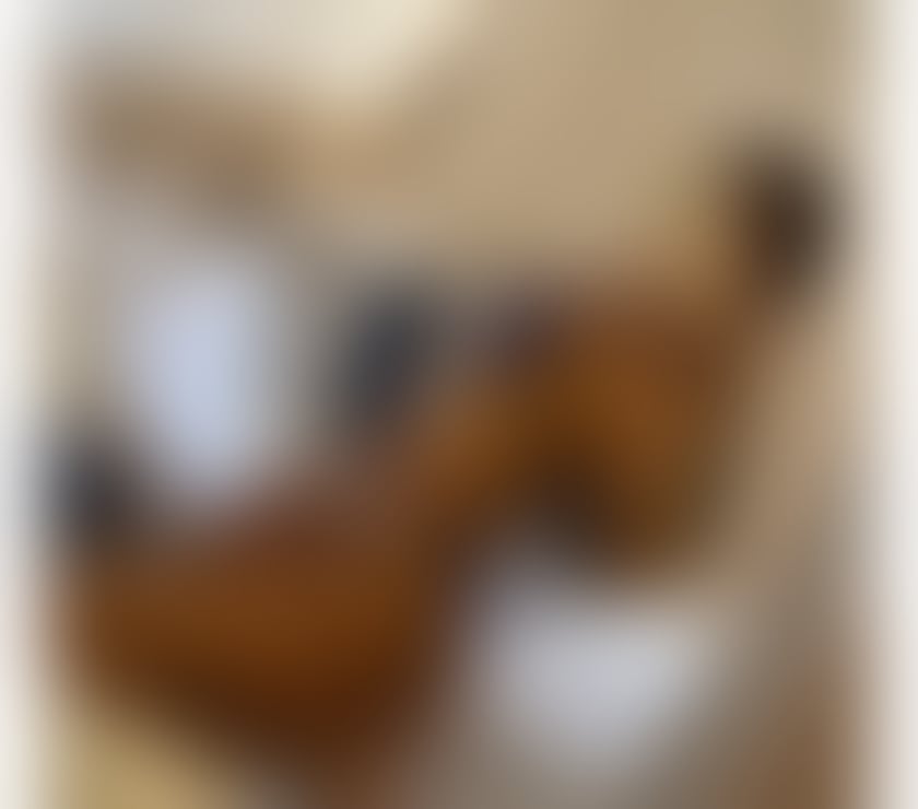 Escorts Hull Hull City Centre - Hull - Photos for ✨ Brazilian Bruna 👅📍