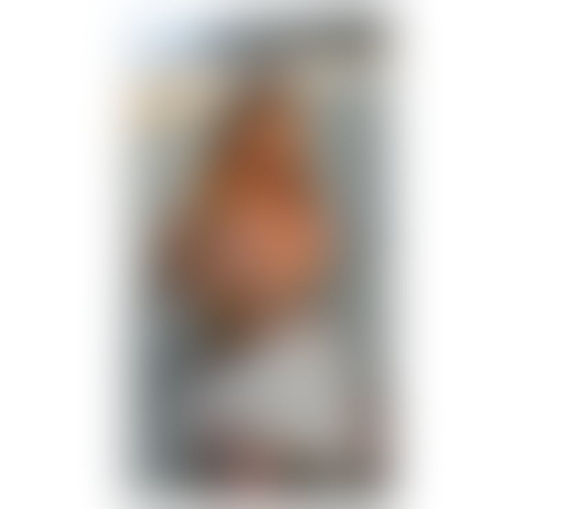 Escorts Bedfordshire Luton - Photos for Your best fun in the city🌇