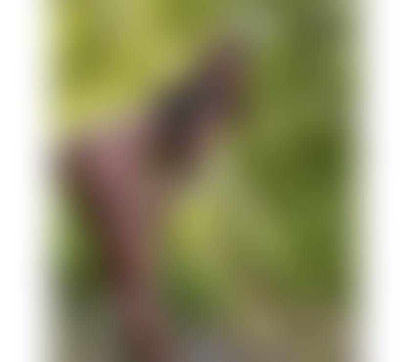 💜HOT AND LOVELLY AFRICAN GIRL BEST OWO 💦