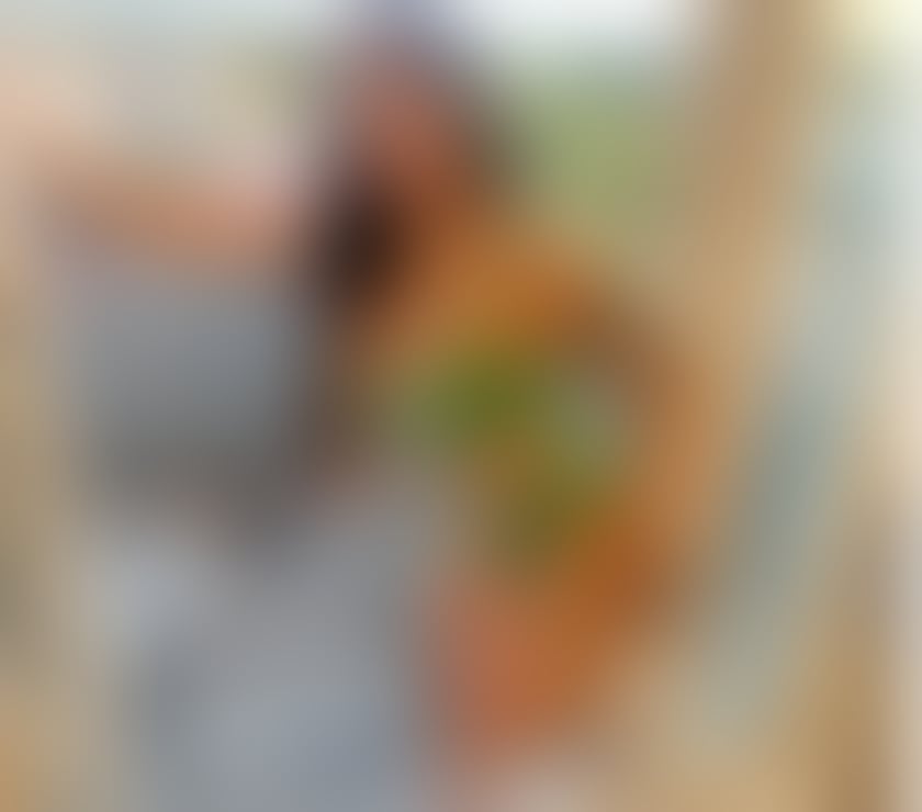 Trans Escorts North London North Finchley - North London - Photos for Mikaela TS🇧🇷 Brazilian your new Girlfriend