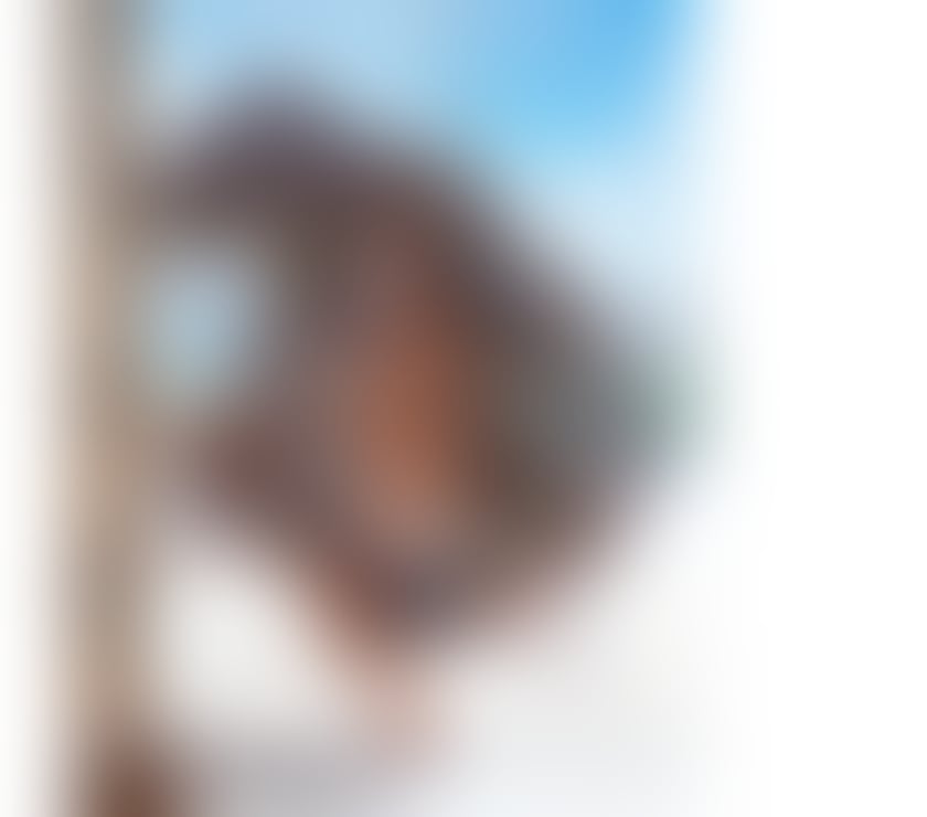 Trans Escorts Merseyside Liverpool - Photos for 🔥 NEW BRAZILIAN LEXA 🔥 NEW IN LIVERPOOL 😈