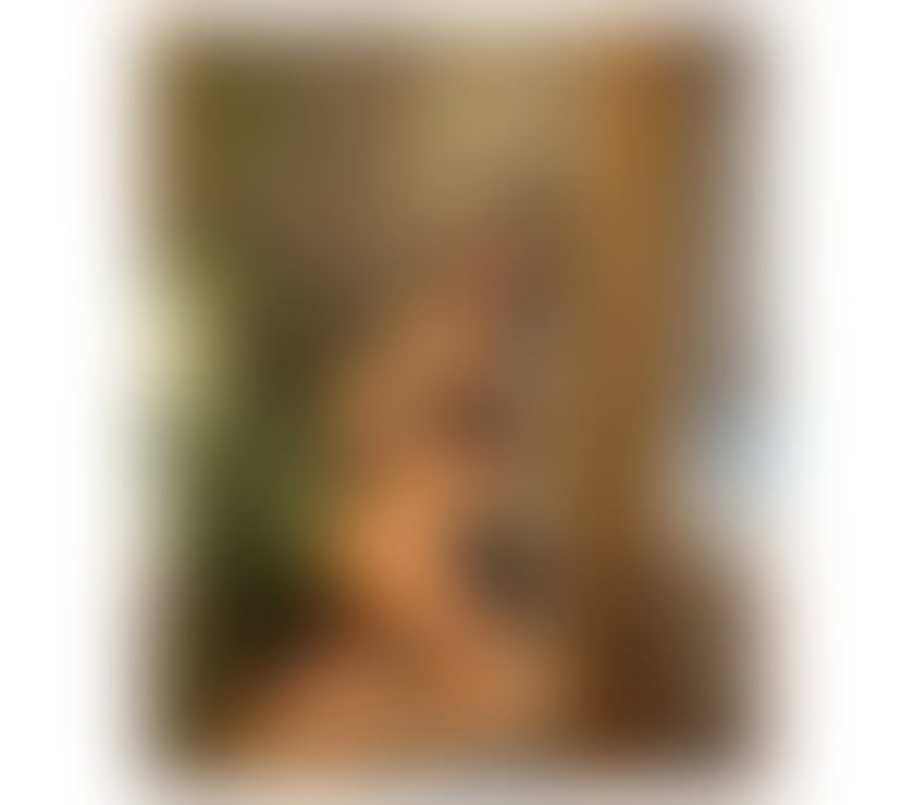  Escorts & Erotic Massage Birmingham City Centre Birmingham - Photos for 🍑New in town, OUTCALL, Party 🍷💕