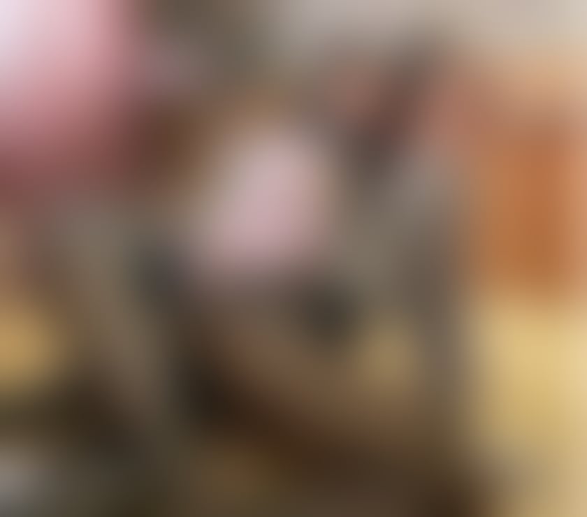 Escorts Bournemouth Bournemouth, Christchurch and Poole - Photos for Maya and Naty best service ❣️❣️