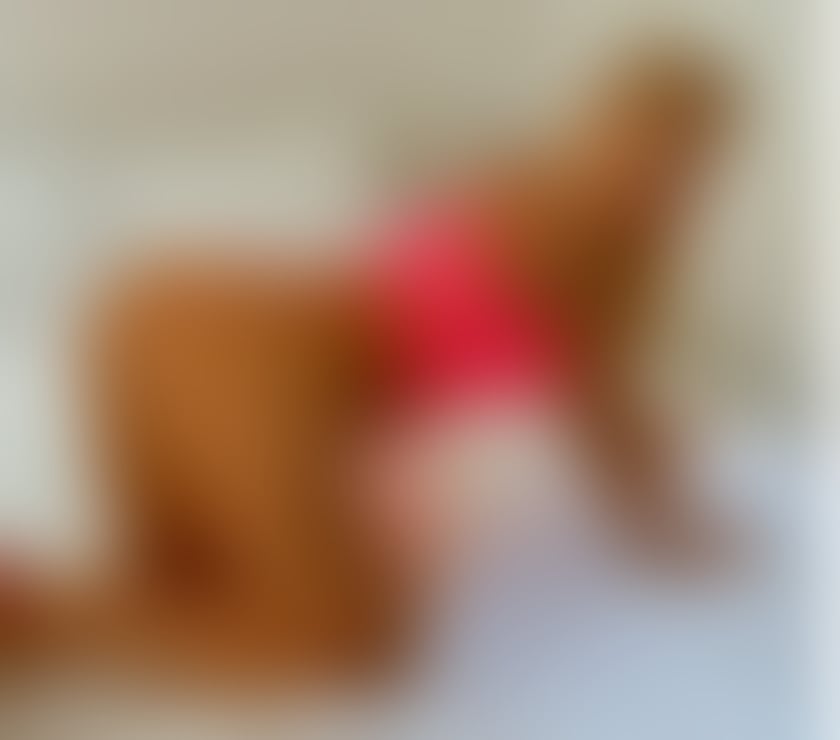 Escorts Galashiels Scottish Borders - Photos for 🤩😘I'M 💋ESTELLE 💋REAL PIC INCALL&OUTCALL😘🤩