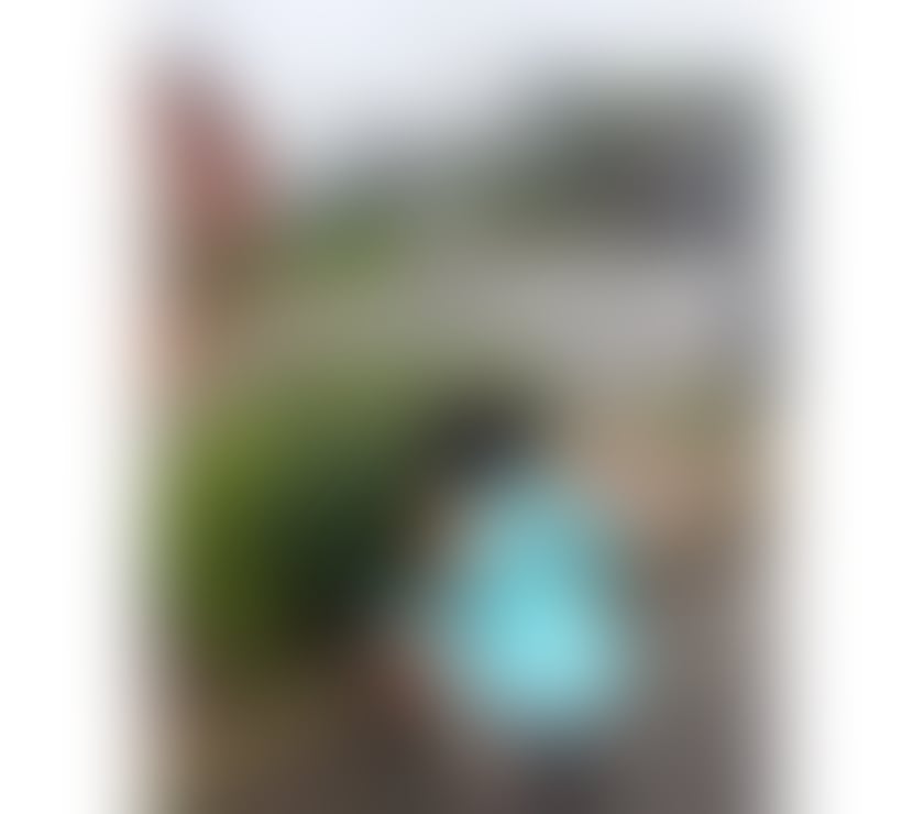 Escorts West Midlands Coventry - Photos for JENNY DRIP ❣️💯 REAL PHOTOS